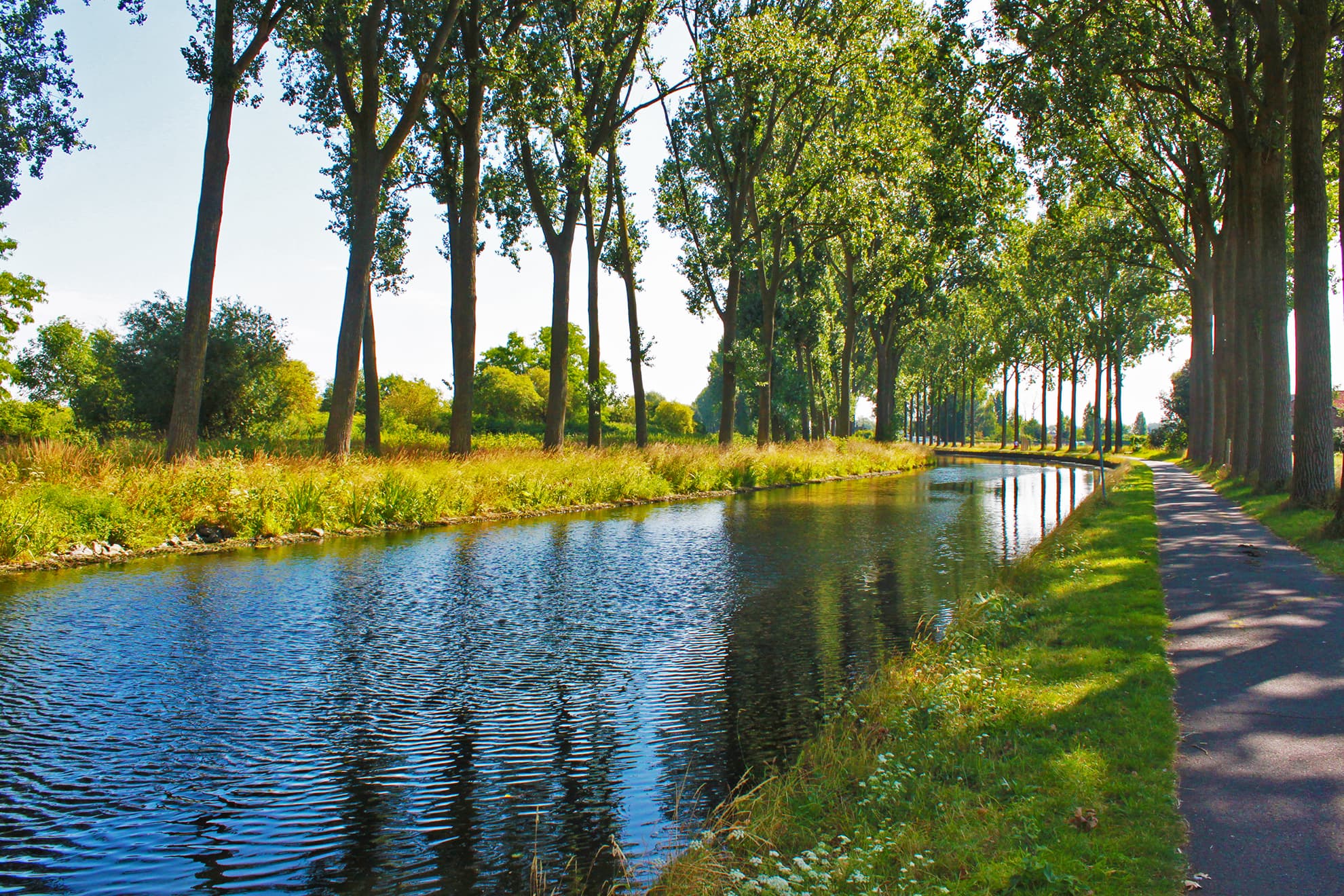 Pédalos sur le canal de l'Espierre